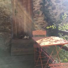SPYR_album_www_1000px_4__1.jpg