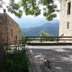 SPYR_album_www_1000px_34__1.jpg
